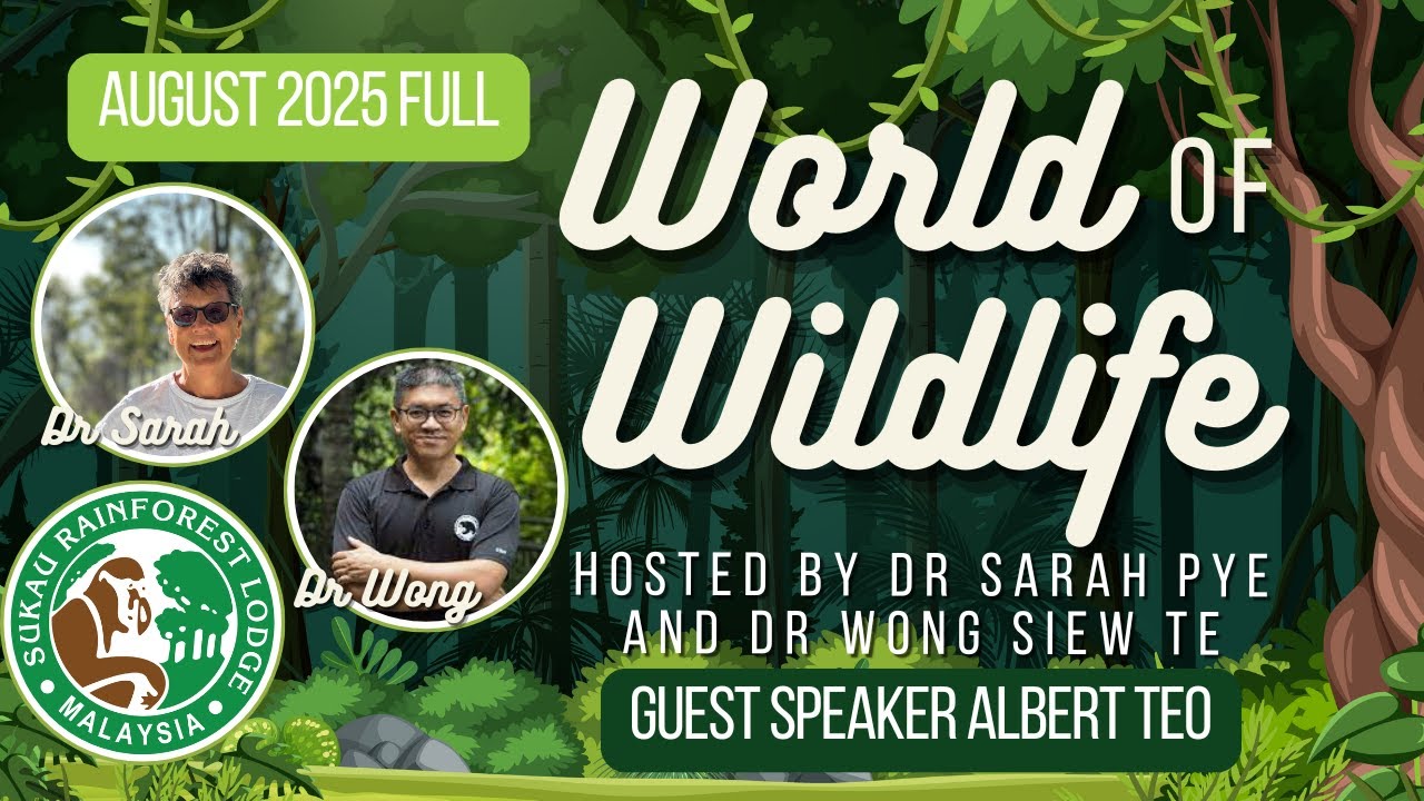[WOW] Full World of Wildlife Livestream [August25]