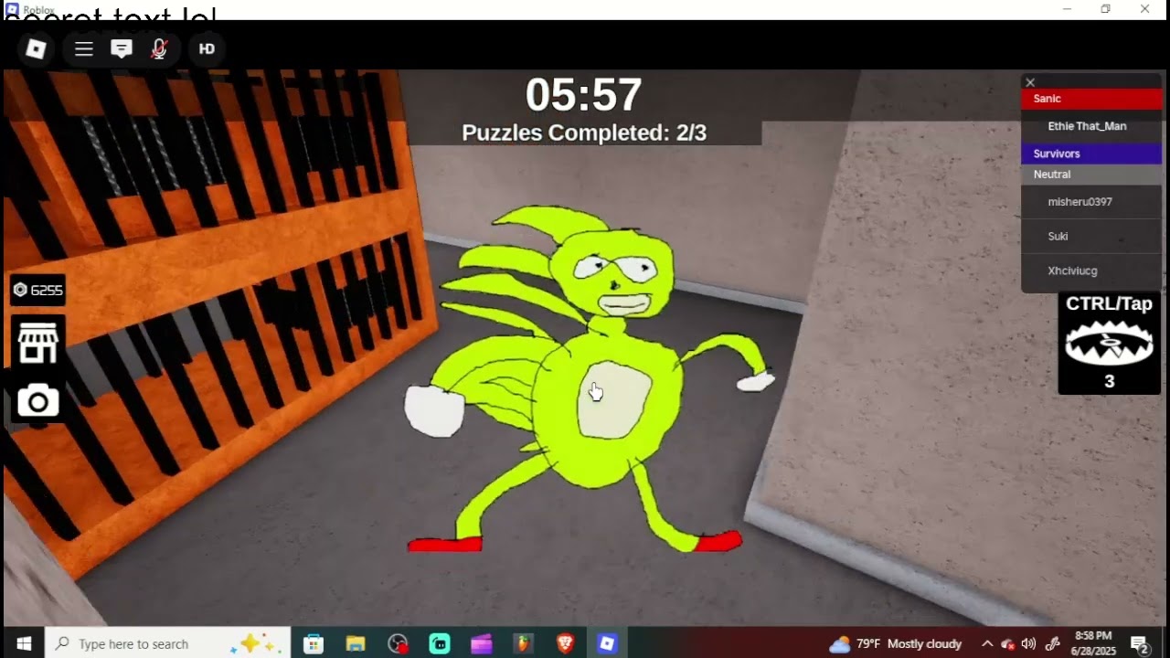 Playing Sanic Minigame Part 2