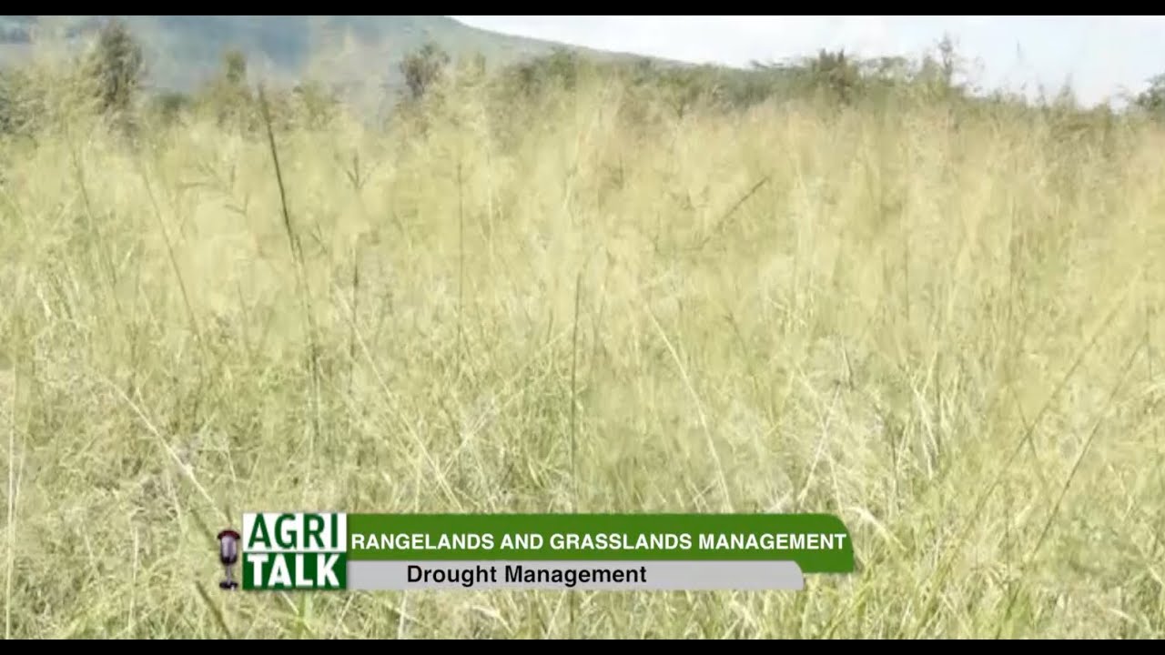 Rangelands and grasslands management - Forage production |part 1|