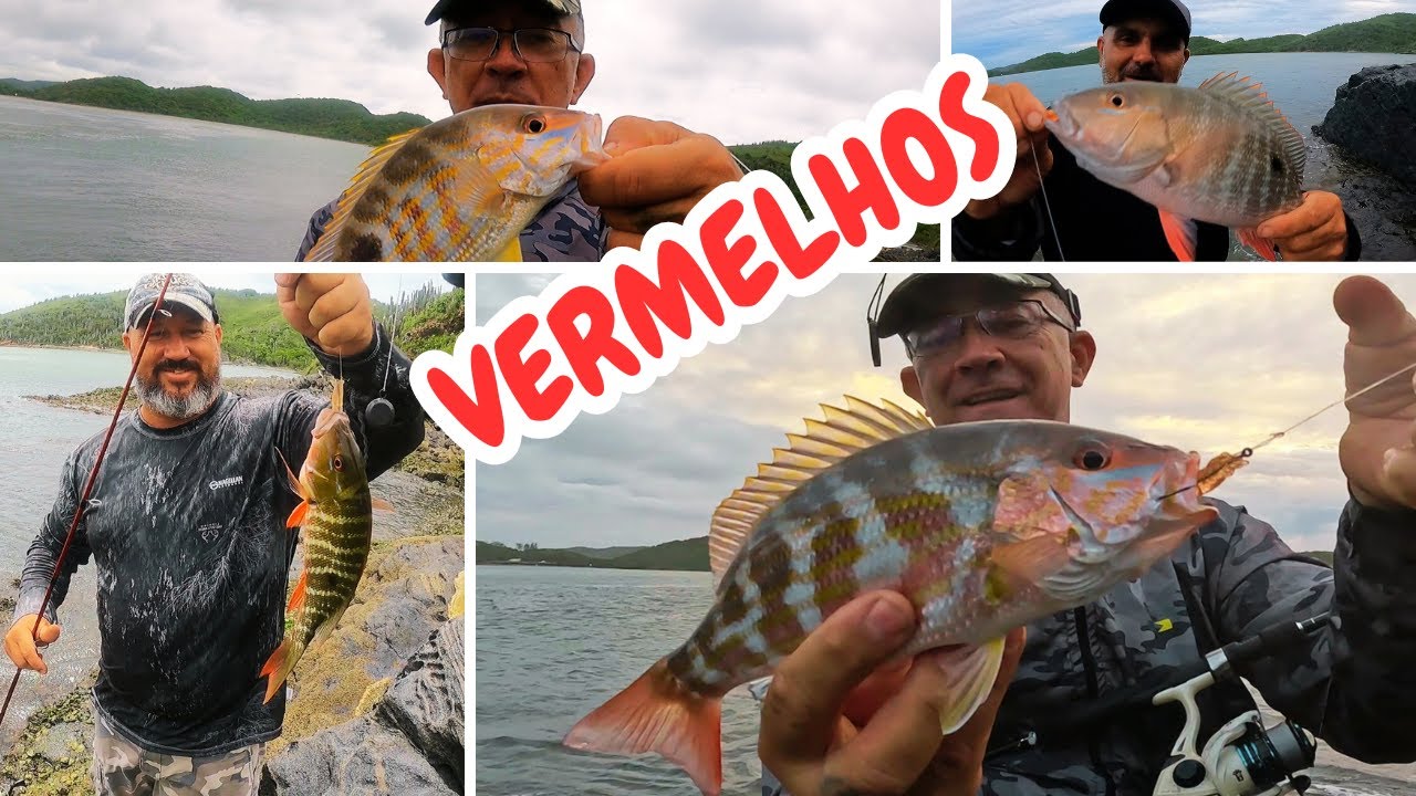 VERMELHOS e ROBALOS, na PESCARIA de PASCOA! #vermelhocioba #pesca #fishing #fish #iscasartificiais