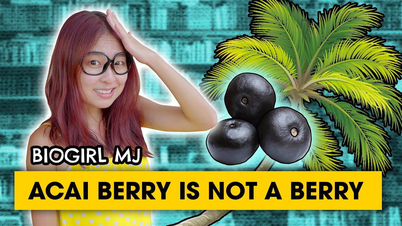 We have Acai palm in Singapore? | Biogirl MJ