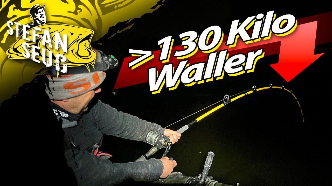 130 KILO + WALLER !!!! | REKORD Wels zerst&ouml;rt ANGLER im DRILL !!!!