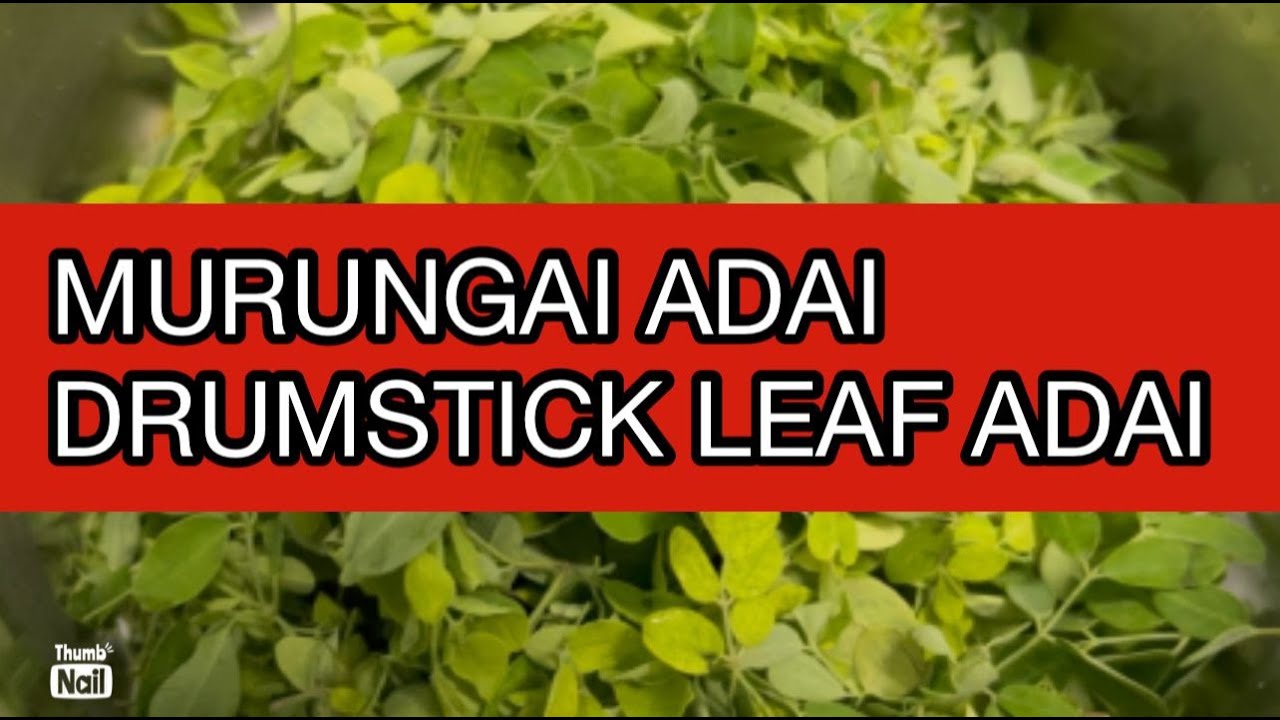 Verum Arisi Murungai Ilai Adai | Drumstick Leaf Adai | முருங்கக்கீரை அடை | Murungai keerai Adai