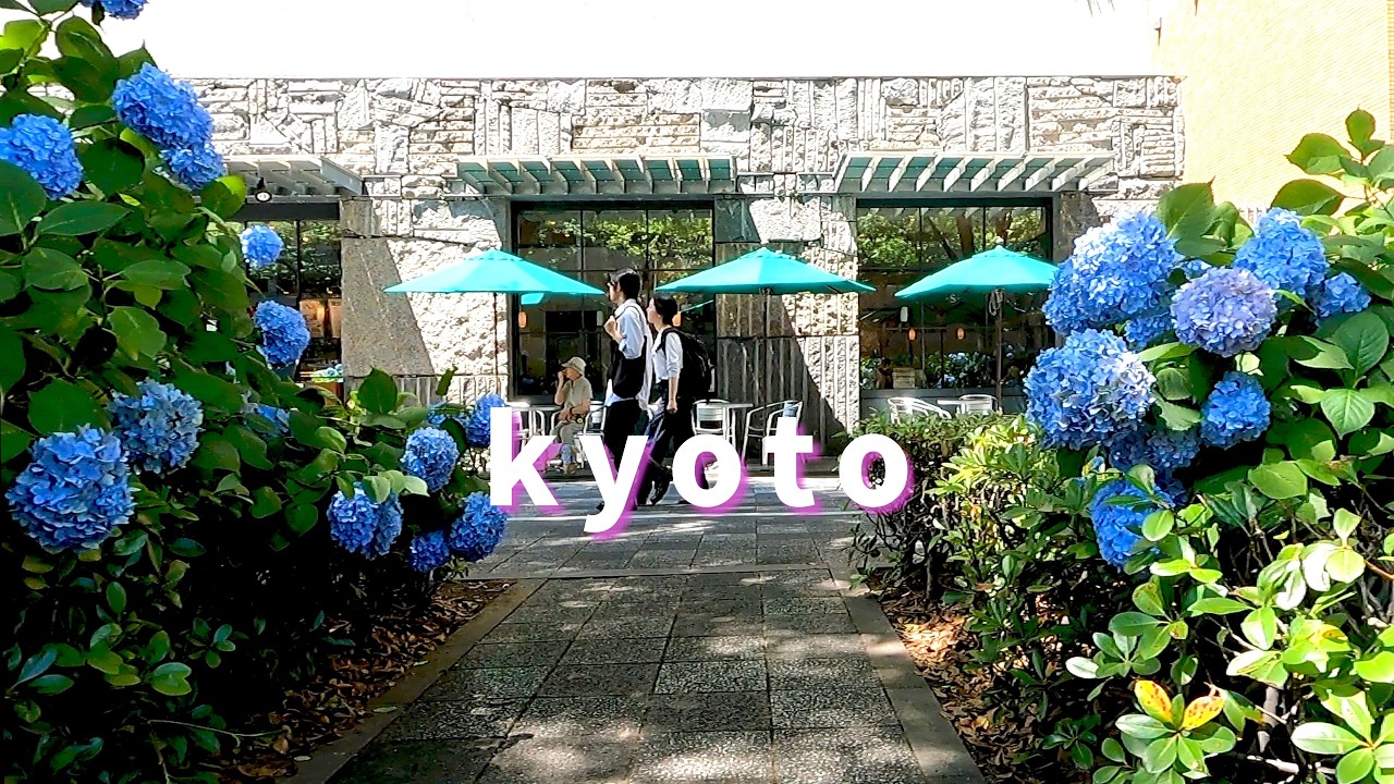 京都街歩きとグルメ🐕ようこそ！誰もいない朝の御池通へ | ルラション | 串くら | 御池ブルー | 紫陽花