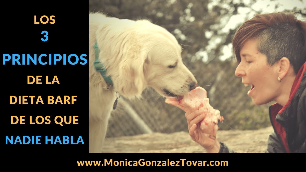 Los 3 Principios de la Dieta BARF (de los que nadie habla) (vídeo en directo)