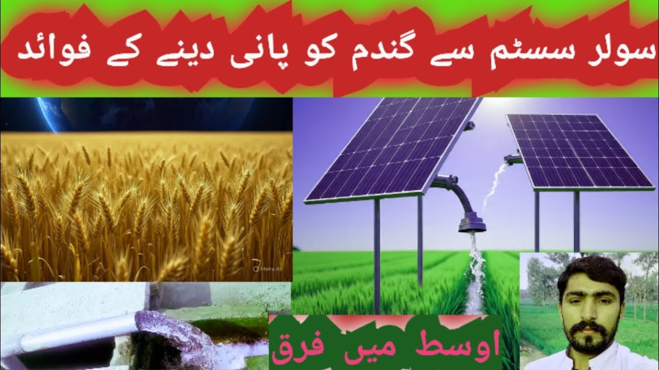 ☀️☀️سولر پلیٹس کے ذریعے جو لوگ پانی دیتے ہیں😲😲 وہ یہ ویڈیو ضرور دیکھیں😲😲#trending #farming #vlog 