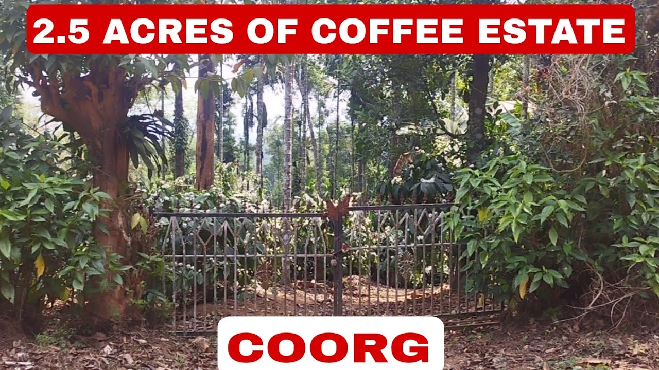 2.5 ACRES OF WELL MAINTAINED COFFEE ESTATE FOR SALE IN COORG. 9483875313