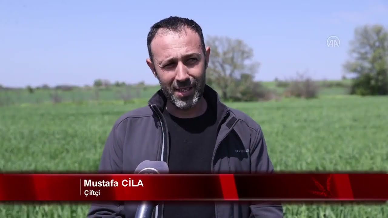 Toprak işlemeyi azaltan üretici maliyetleri de düşürdü