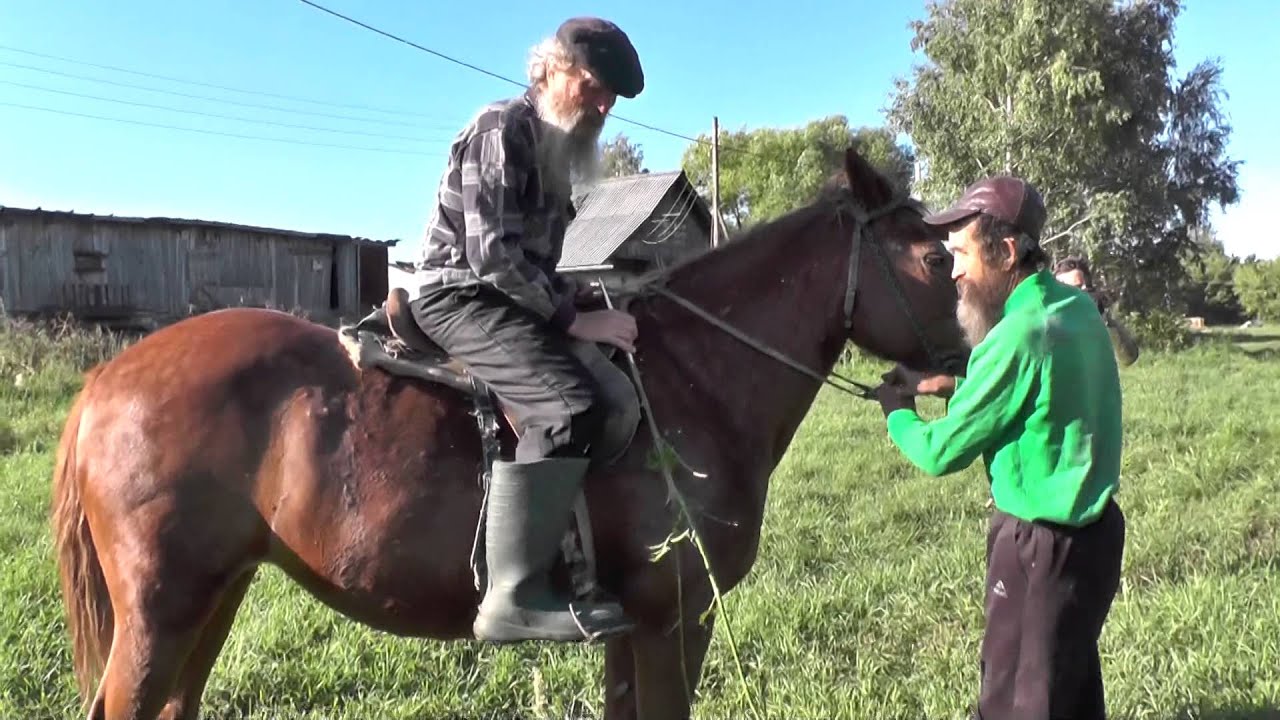 Господа казаки!   Не любо ,братцы, не любо!