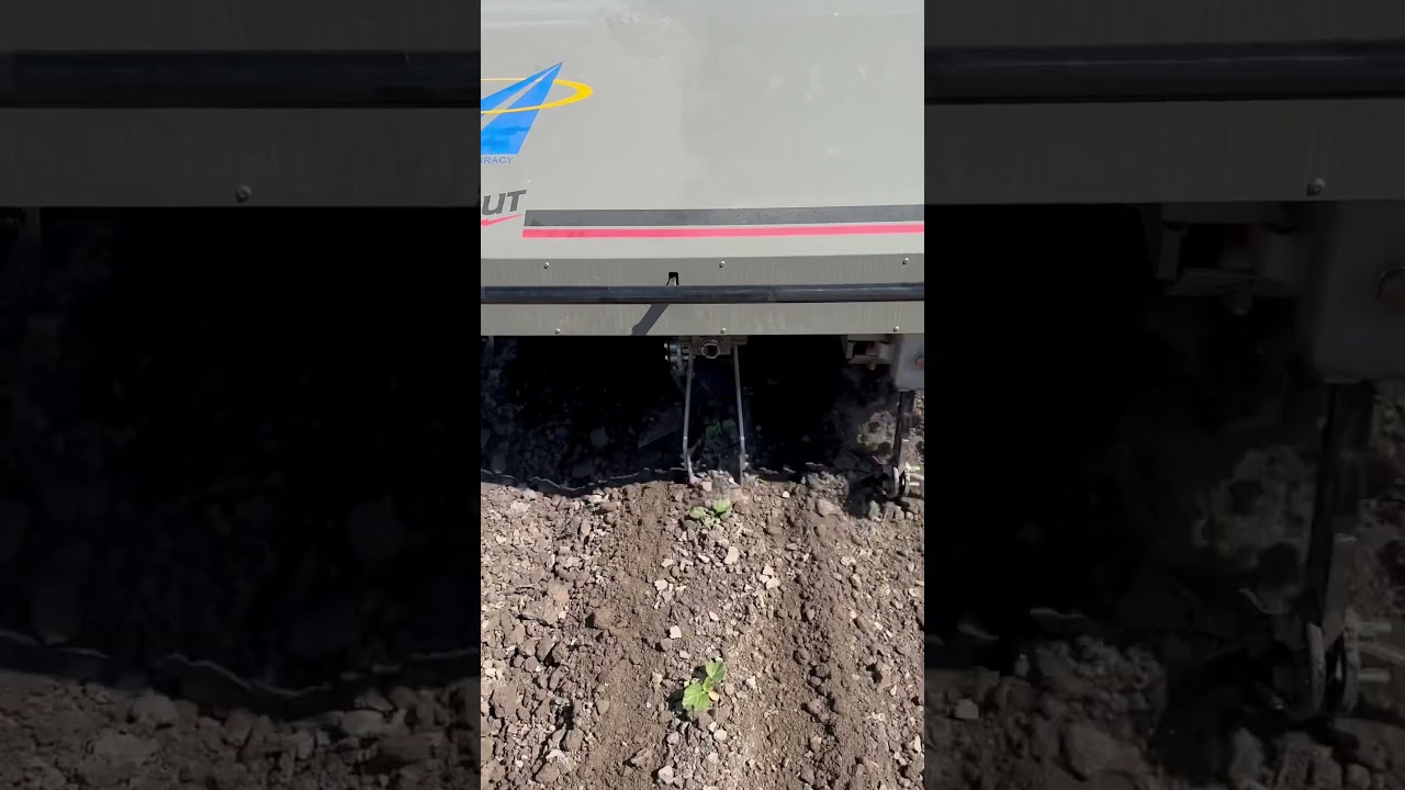 Intrarow weeding of Cantaloupes by @stoutindustrialtechnology5013 AI Cultivator. Agtech