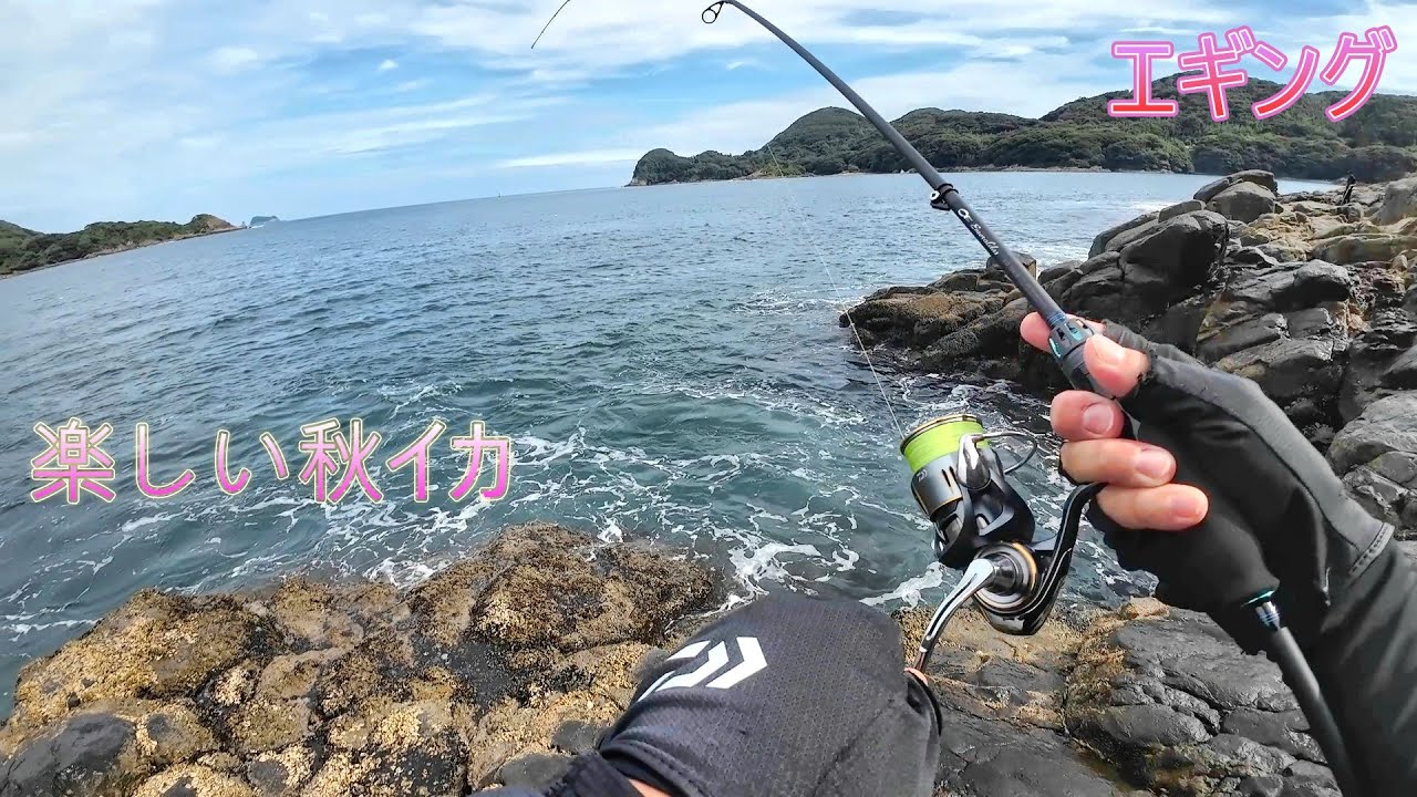 【エギング】秋のアオリイカを楽しんできました