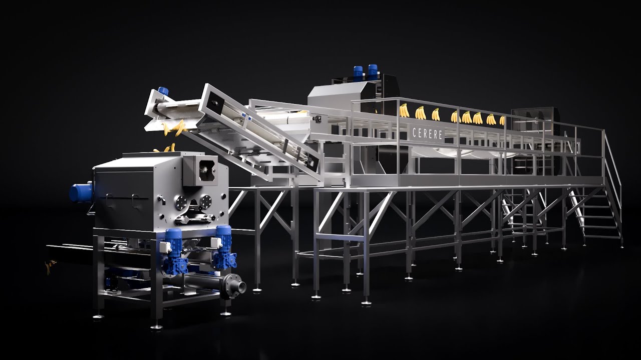 Banana Automatic Peeler Cerere 6000