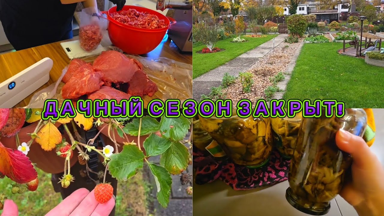 #206 🇩🇪 НАКОНЕЦ-ТО ИЗБАВИЛИСЬ ОТ #СОСЕДЕЙ 🎊 #ДАЧНЫЙ СЕЗОН ЗАКРЫТ!!!#ЖИЗНЬ ЗА #РУБЕЖОМ 