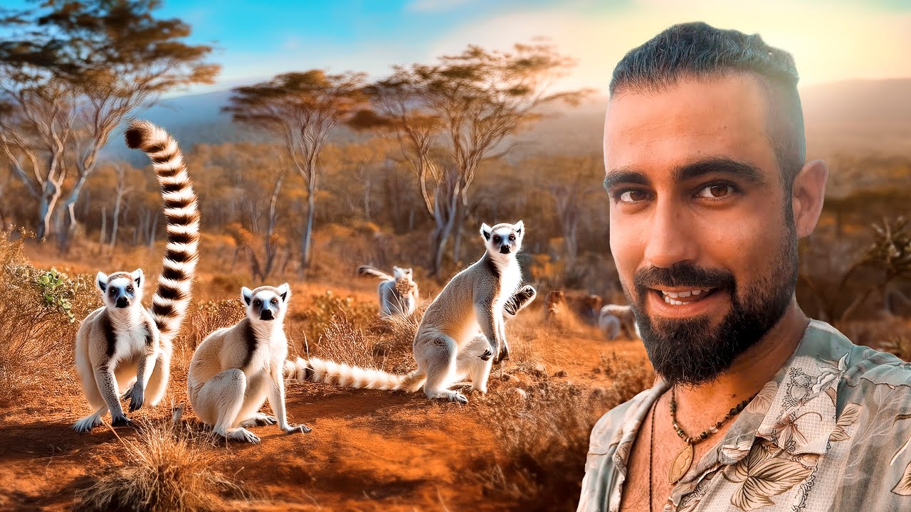 Viaj&eacute; al Reino de los L&eacute;mures. As&iacute; es la Vida Salvaje de Madagascar 🇲🇬