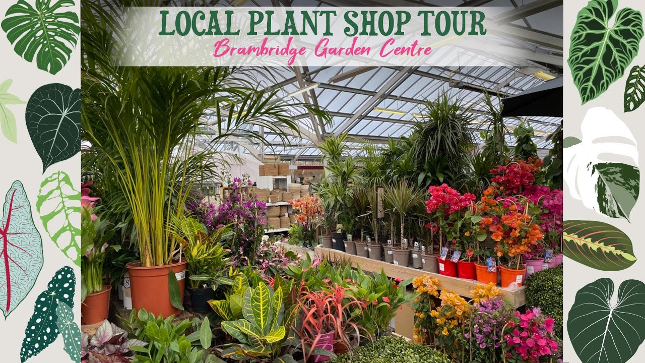 Local Plant Shop/Garden Centre Tour! 🌿🌺🌴🌵💚