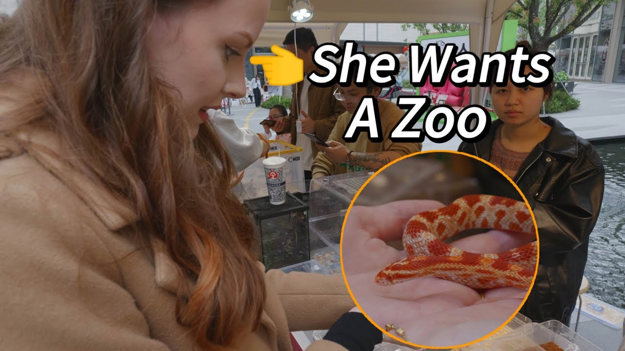 Come visit pet market with us in Hangzhou China🇨🇳