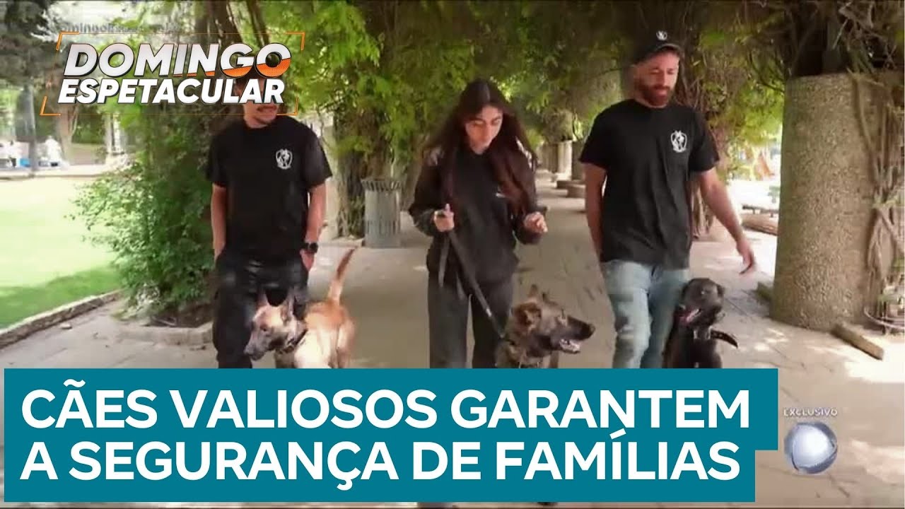 Conheça os valiosos supercães de proteção que garantem a segurança de pessoas e famílias