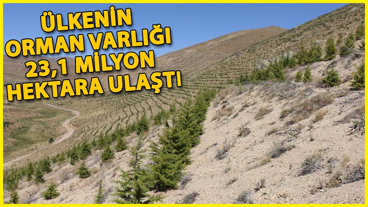 Erozyonla Mücadele Sonuç Verdi; Toprak Kaybı Düştü