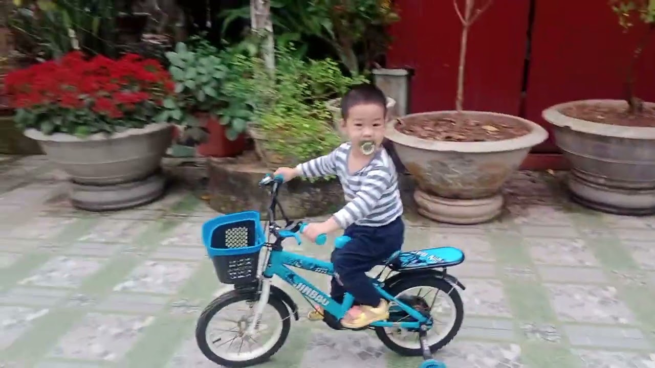 2 ông cháu đi xe đẹp quá tuyệt vời ngày 9/1,/2026