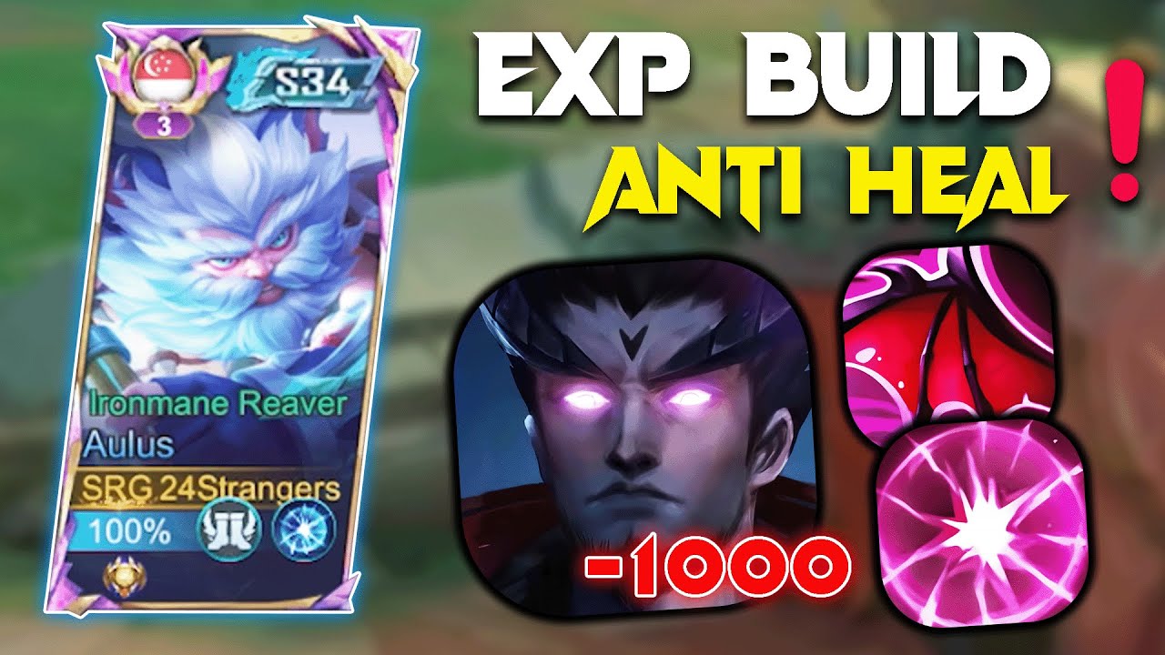 FINALLY NEW EXP AULUS BUILDs MAKES ENEMY HEALING IMPOSSIBLE!