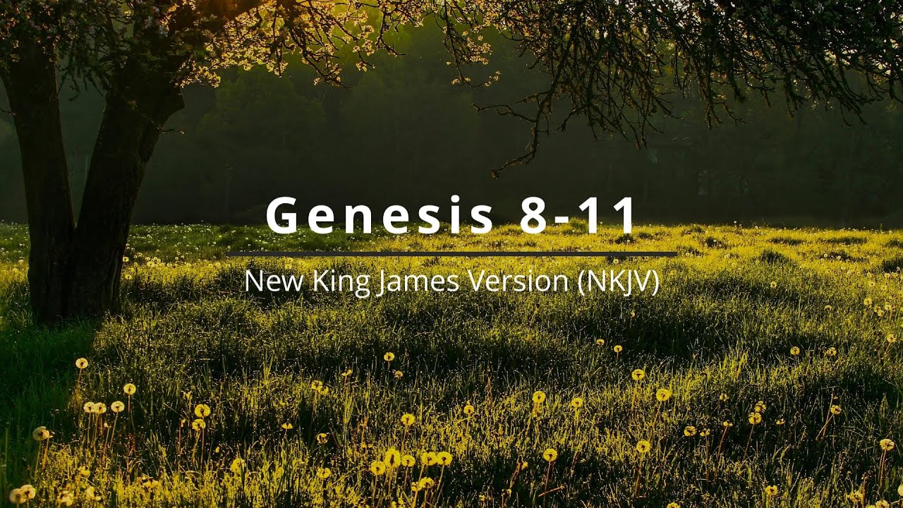 Genesis Chapters 8-11 - Chronological Bible - Section 3