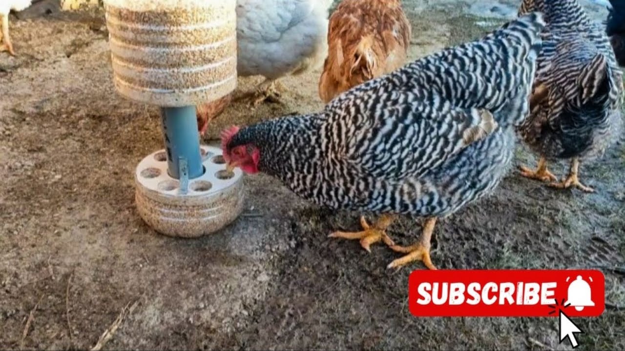 KAKO NAPRAVITI HRANILICU ZA KOKOŠKE | VEOMA JEDNOSTAVNO |