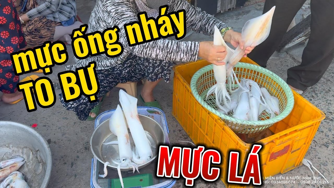 ĐÓN GIA ĐÌNH BA MẸ NUÔI VỀ QUÊ THÁI THƯỞNG THỨC TÔM HÙM CUA NÂU ĐẶC BIỆT MỰC LÁ , ỐNG NHÁY SỐNG