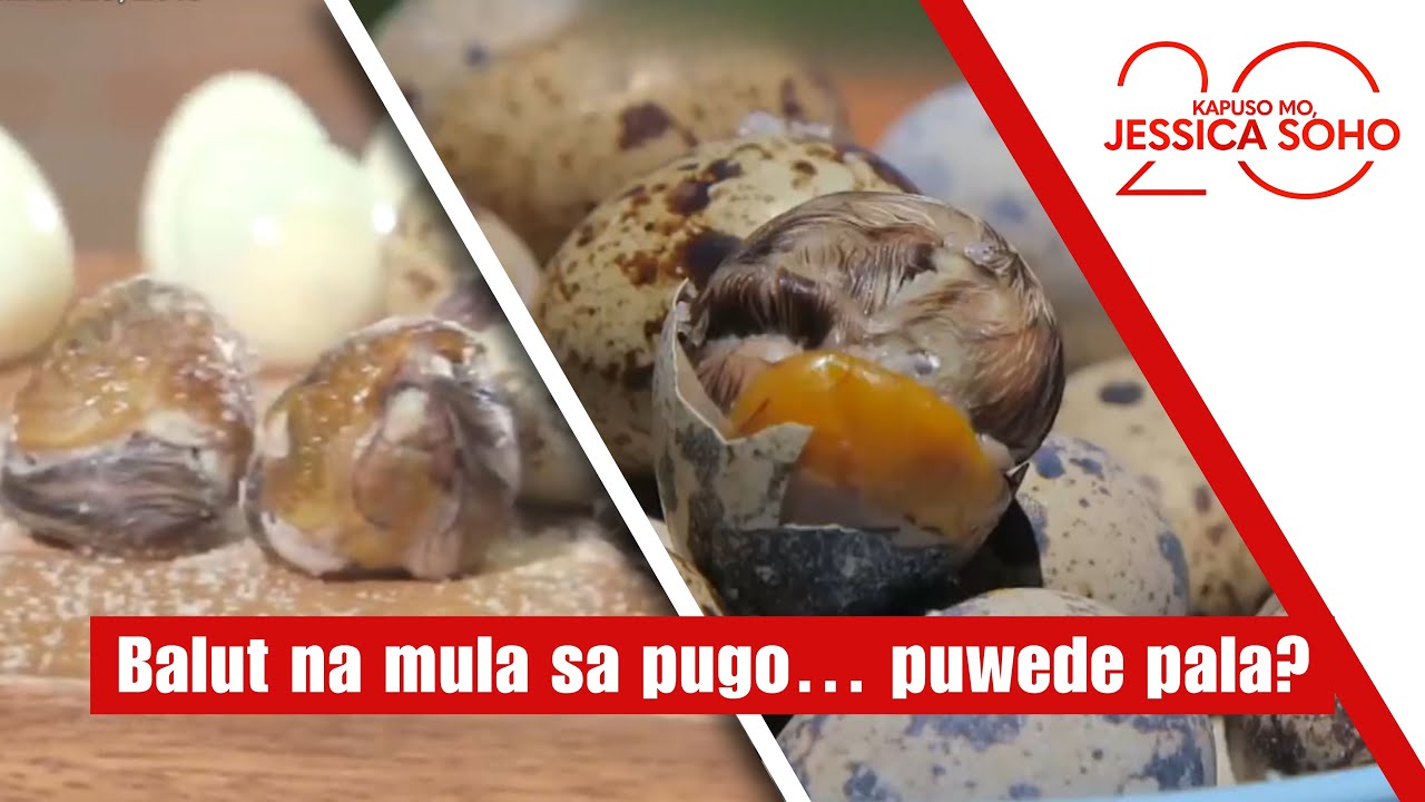 Balut na mula sa pugo&hellip; puwede pala? | Kapuso Mo, Jessica Soho