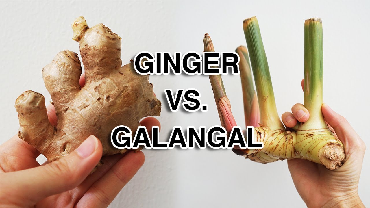 What is the Difference Between Ginger and Galangal