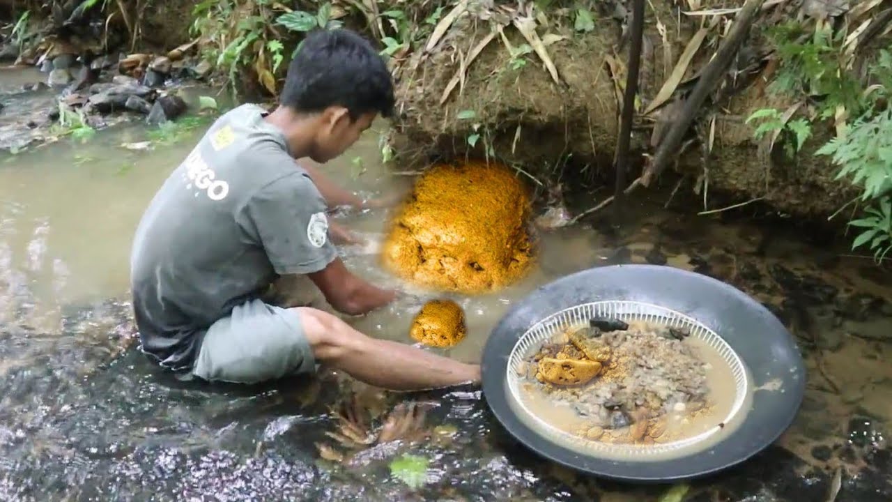 Mendadak Kaya Pendulang Emas di Sungai dapat Banyak || Penemuan Jalur Emas || Gold Panner