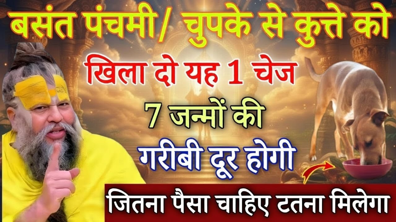 23 जनवरी बसंत पंचमी: चुपचाप कुत्ते को खिला देना यह 1 गुप्त चीज, रातों-रात किस्मत न पलट जाए तो कहना!