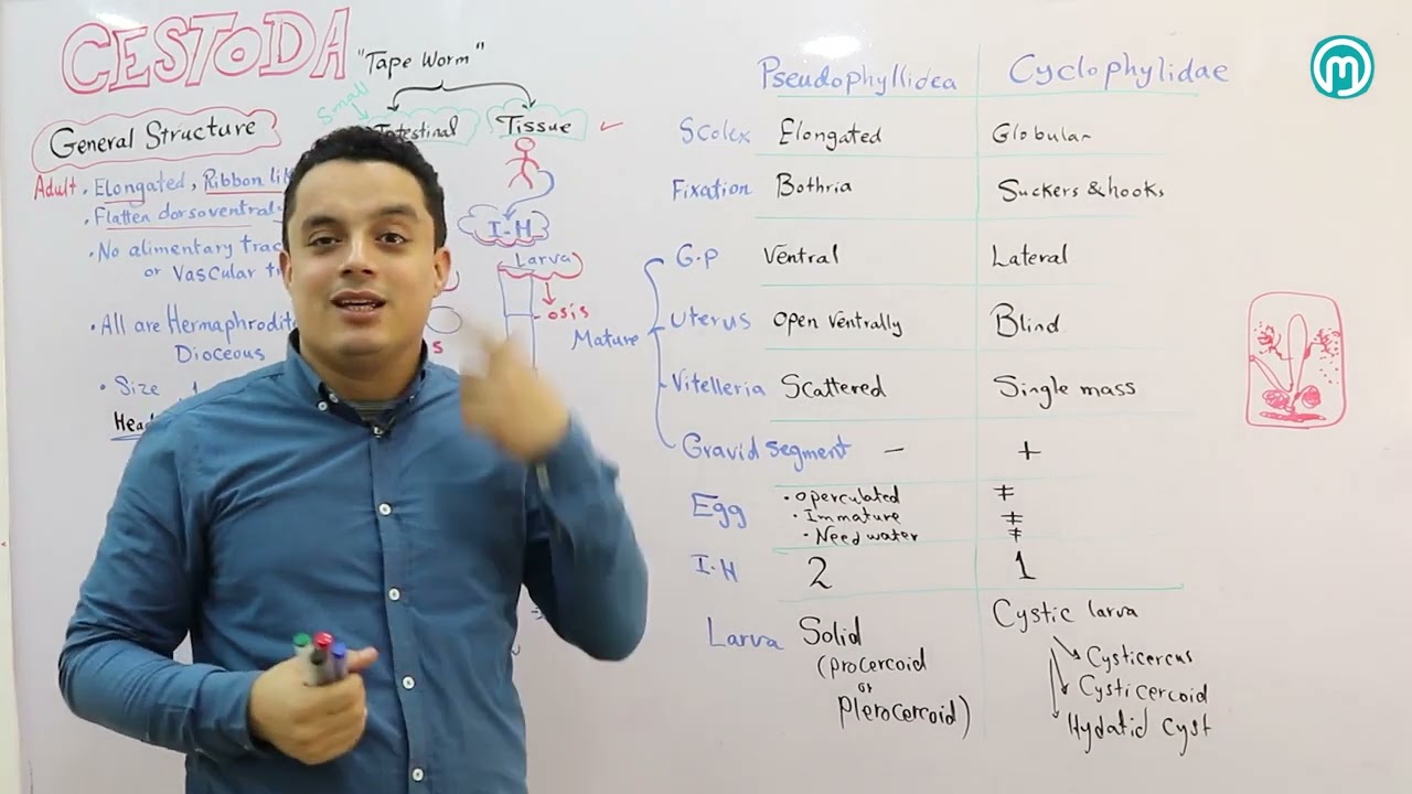 Cestode Part 1