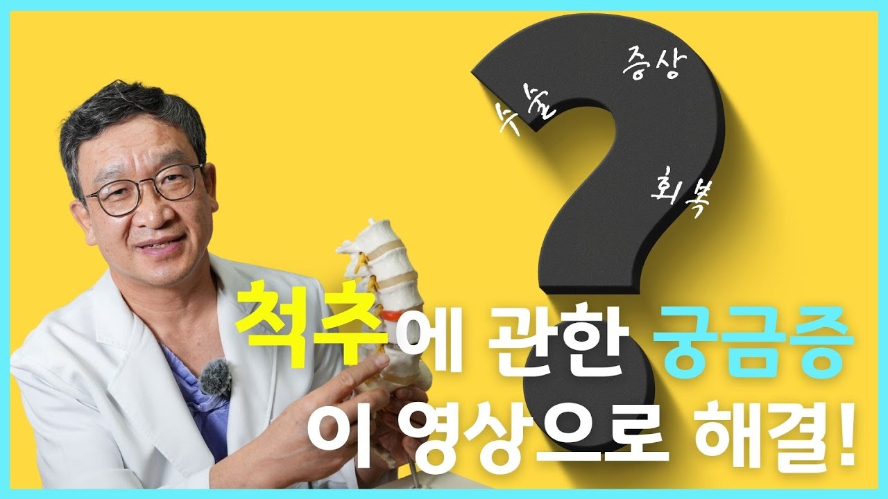 허리와 척추의 통증, 수술, 회복까지 모든 것 알려드려요!