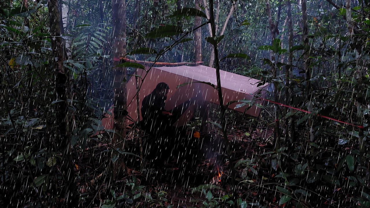 2 Hari Solo Camping di Hutan, Hujan Deras Sepanjang Hari, Memasang Tarp Shelter di Pohon