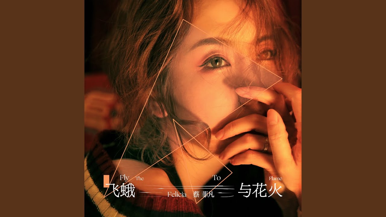 飞蛾与花火