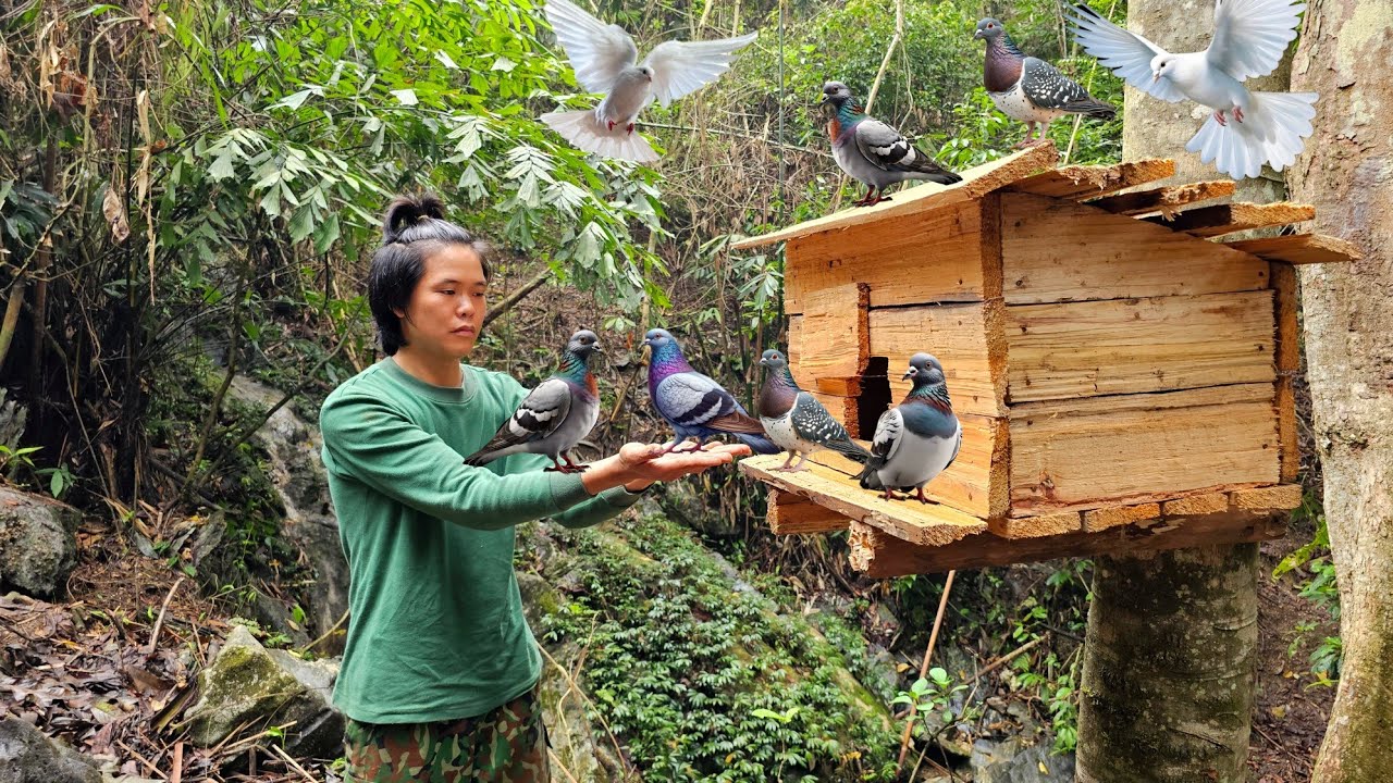 how to make a bird cage with a knife - jungle farm, jungle life, green forest life, survival alone