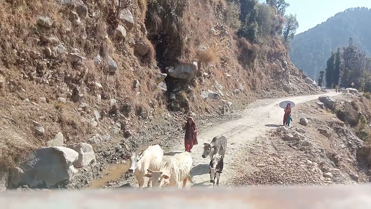 Road condition DHAGGAR 