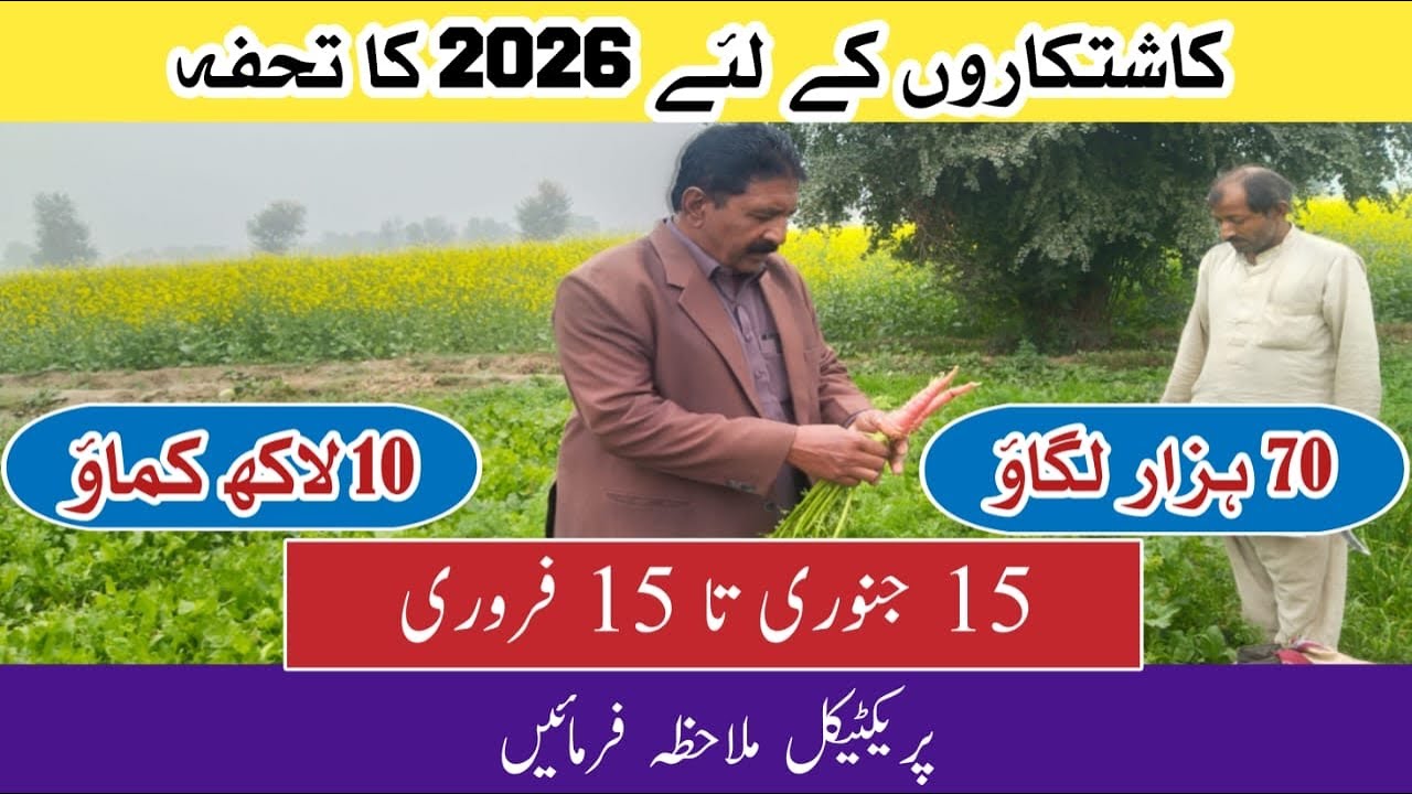 کا شتکاروں کے لیے 2026 کا تحفہ۔  70 ہزار  لگاؤ  10 لا کھ کماؤ