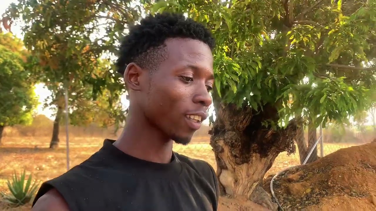 Goromonzi 25m&sup3; Biogas Digester Project | Farm Energy Solution Update 🚜♻️