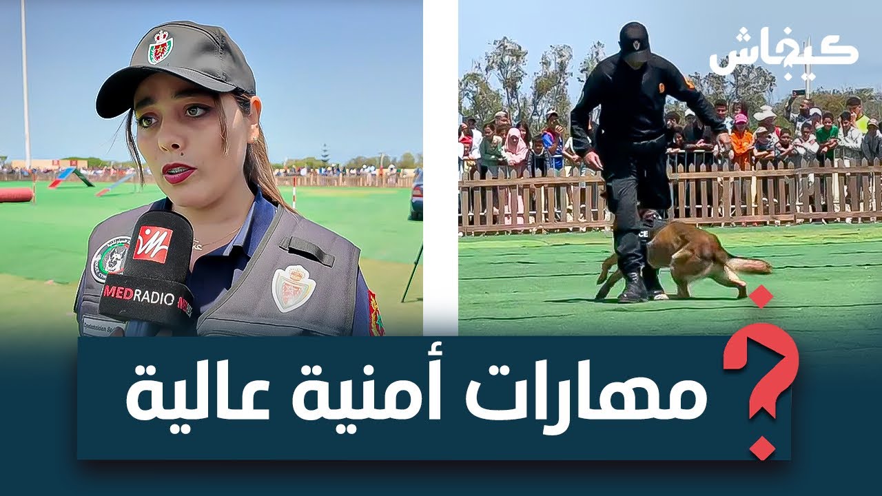 كلاب مدربة على كشف المخدرات والمتفجرات.. الشرطة السينوتقنية تستعرض مهاراتها في الأبواب المفتوحة