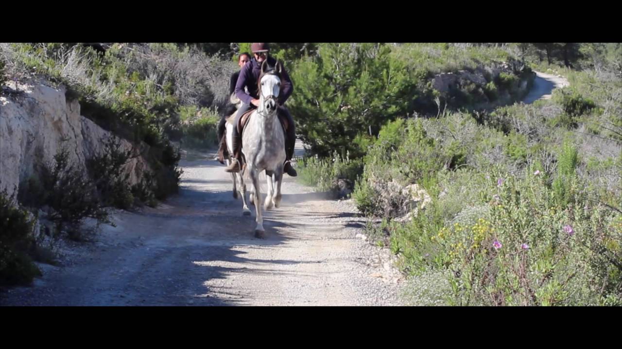 IBIZA HORSE VALLEY