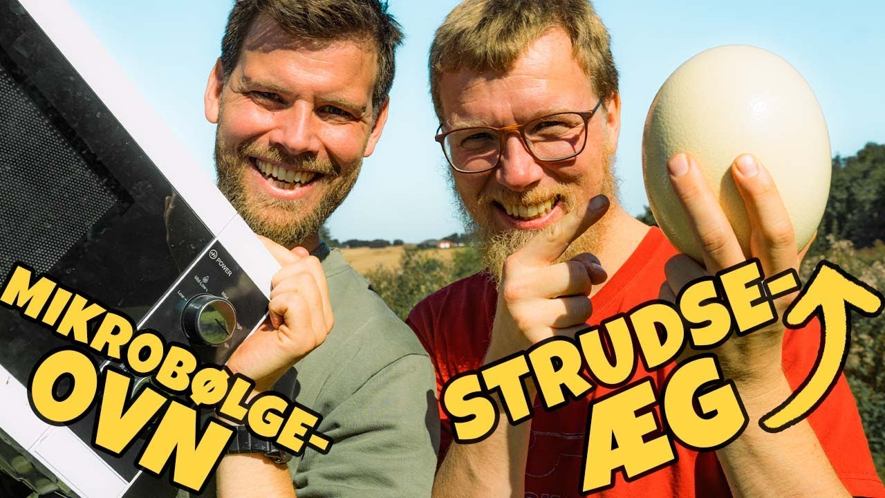Eksploderende mikrobølgeovn - Strudseæg!