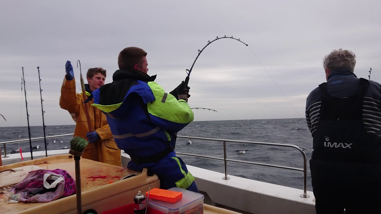 Compass Rose Charters Cullivoe Shetlands 13