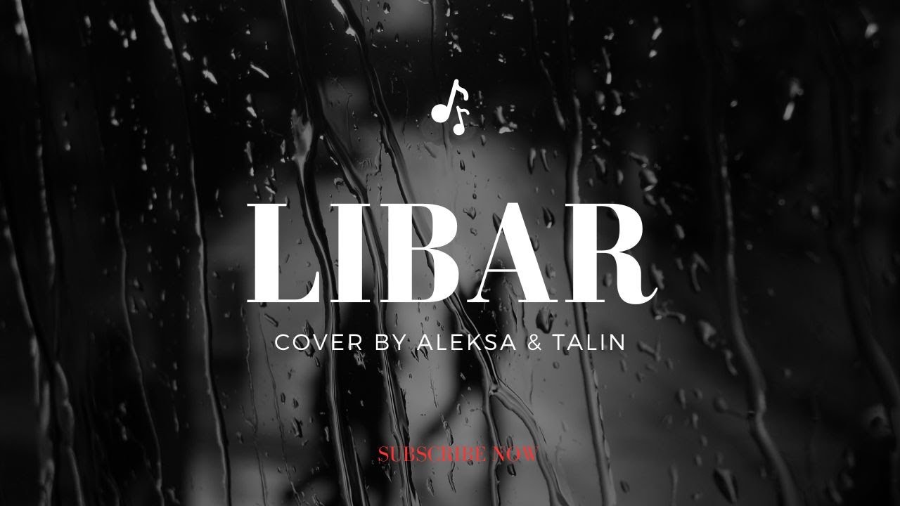 Libar - Cover by Aleksa Danic & Elvis Cufurovic