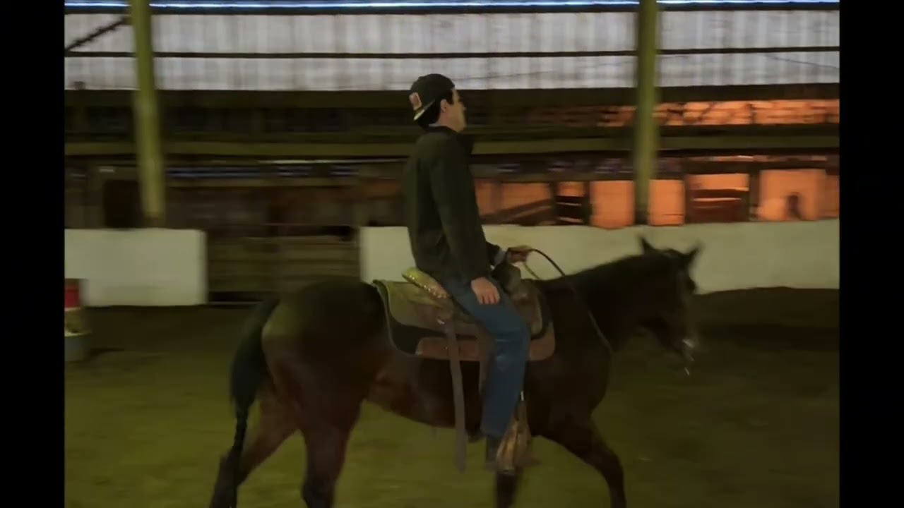 SPIT FIRE AND VINEGR - 4 Year Old Green Mare