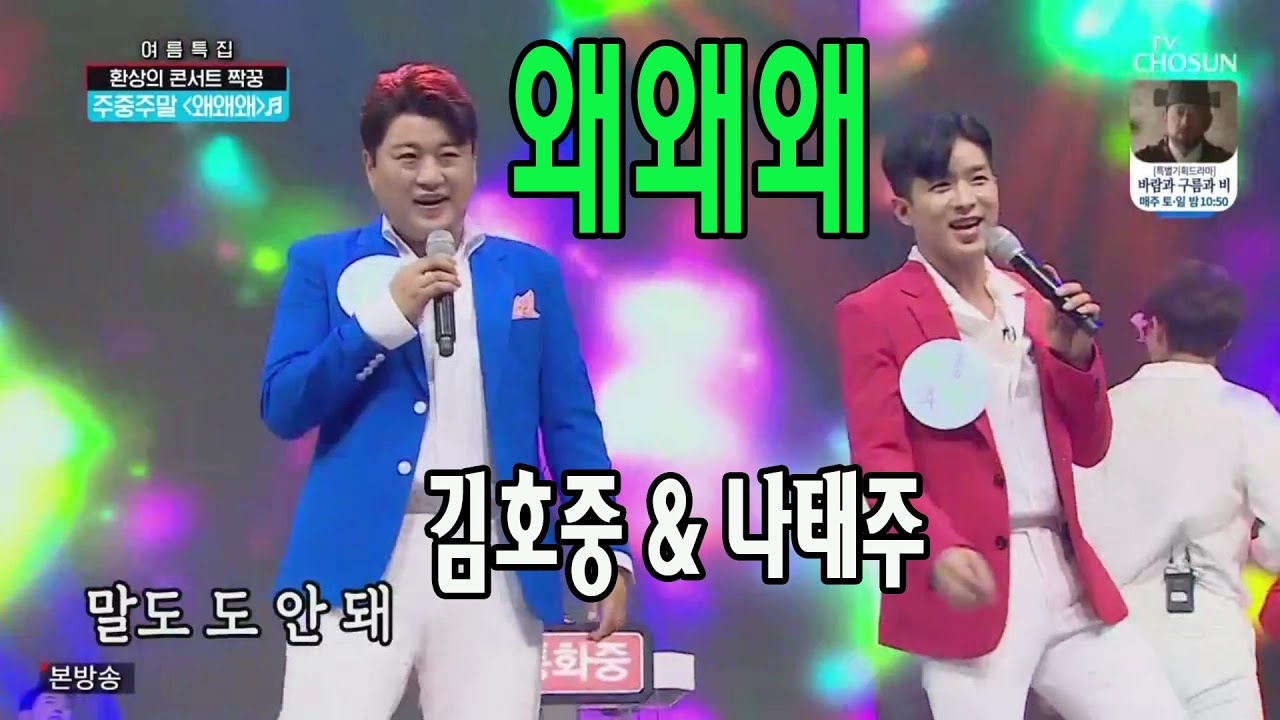 왜왜왜 / 주중주말(김호중 & 나태주) / 사랑의 콜센타 16회