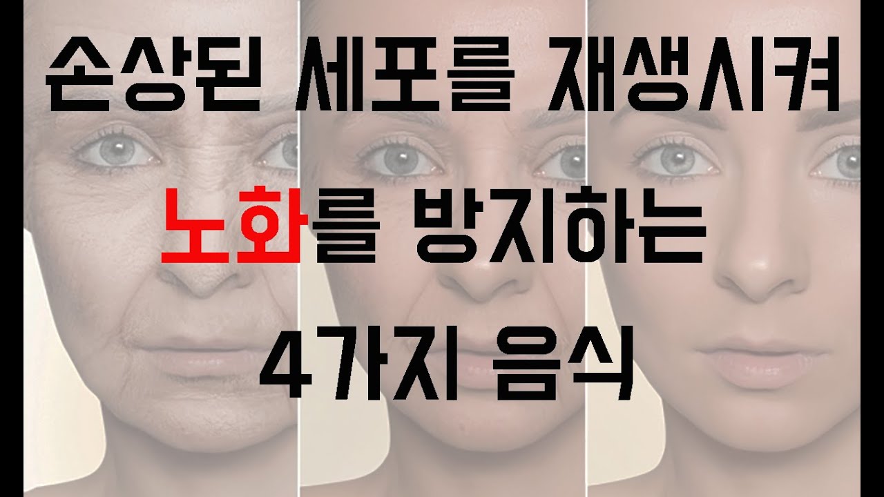 손상된 조직을 복구하는 세포를 증식시키는 방법