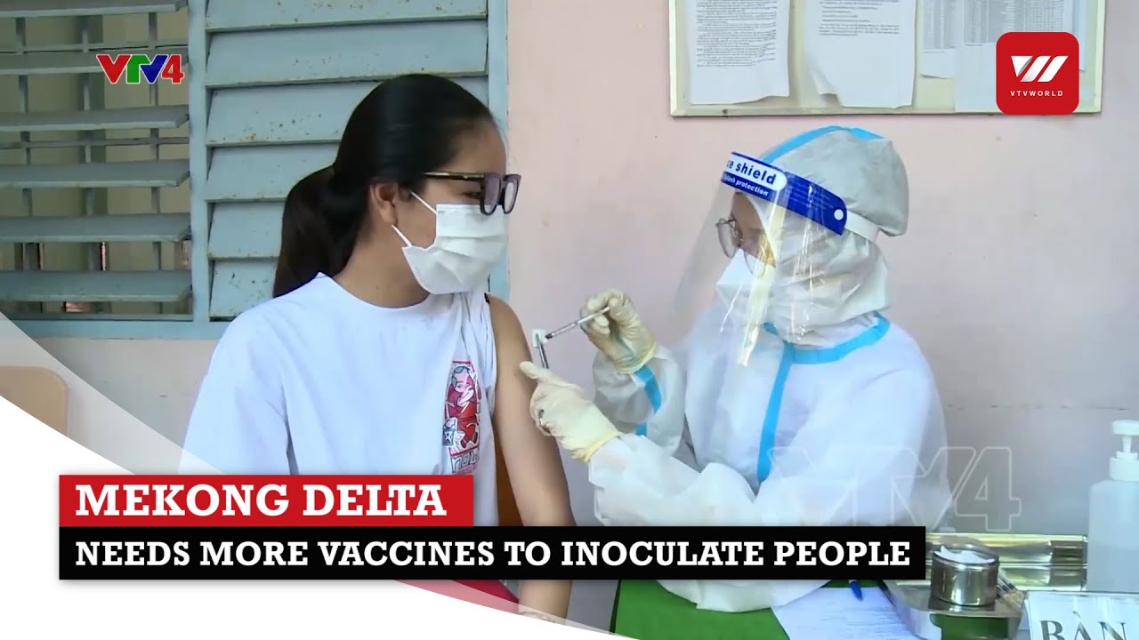 Mekong Delta needs more vaccines to inoculate people | VTV World
