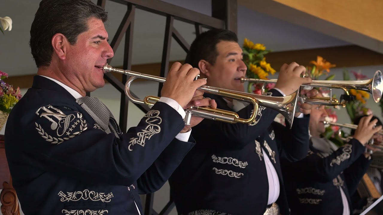 Serenata con mariachi Nuevo Tecalitlan con dedicatoria Especial para Familia Jimenez de Navidad Jal