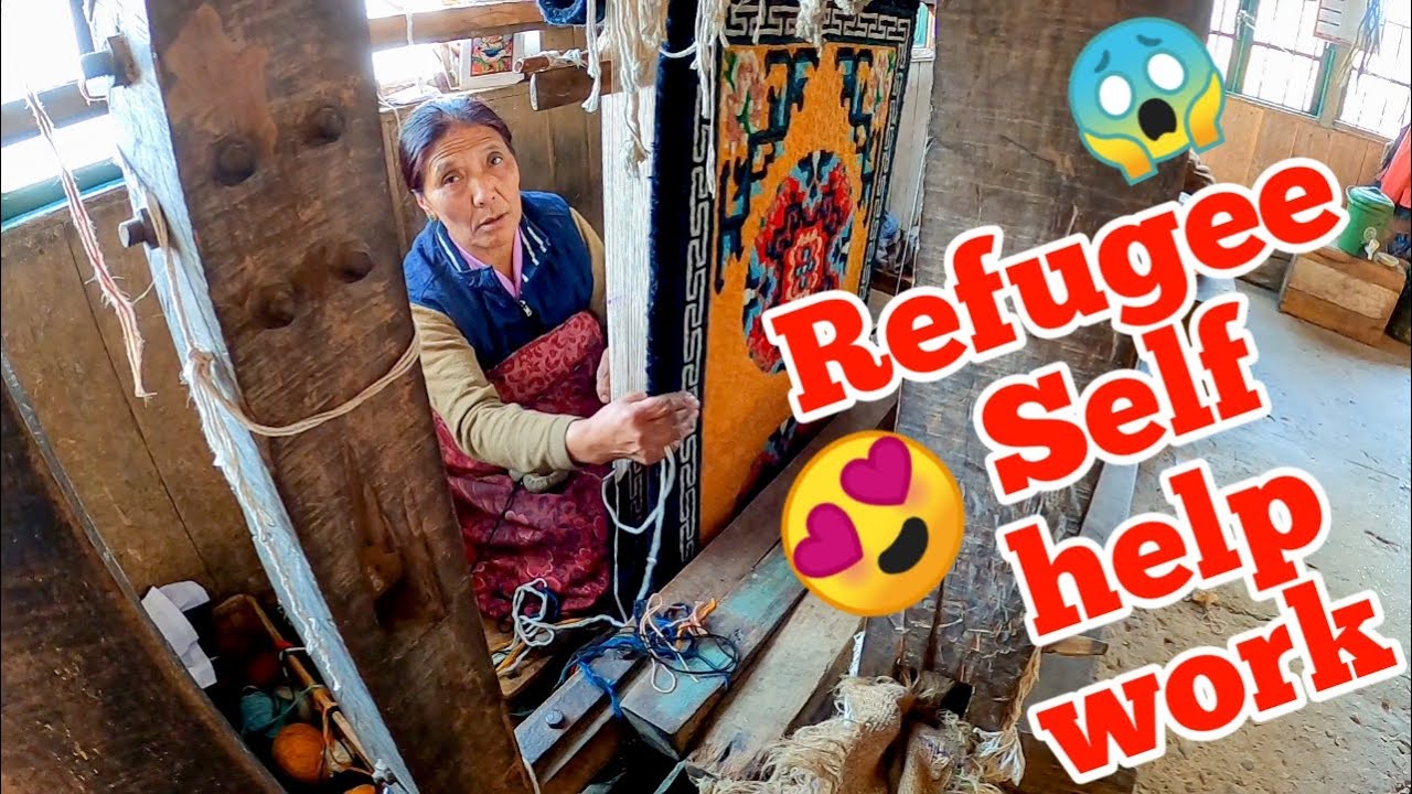 Tibetan Refugee Self-Help Centre Darjeeling | How Tibetan sheep wool carpet is hand  made |